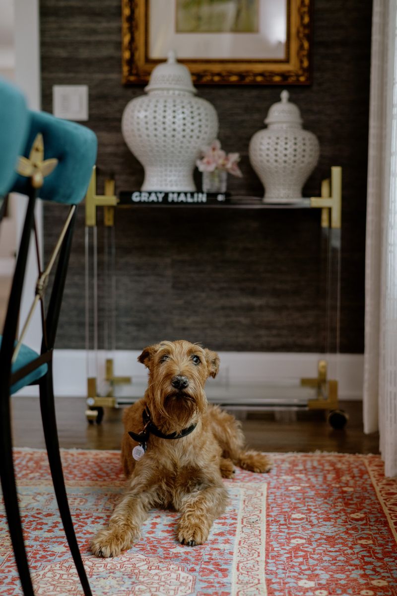 A Des Moines entry with dark grasscloth walls and a brass and acrylic console over a red patterned rug.