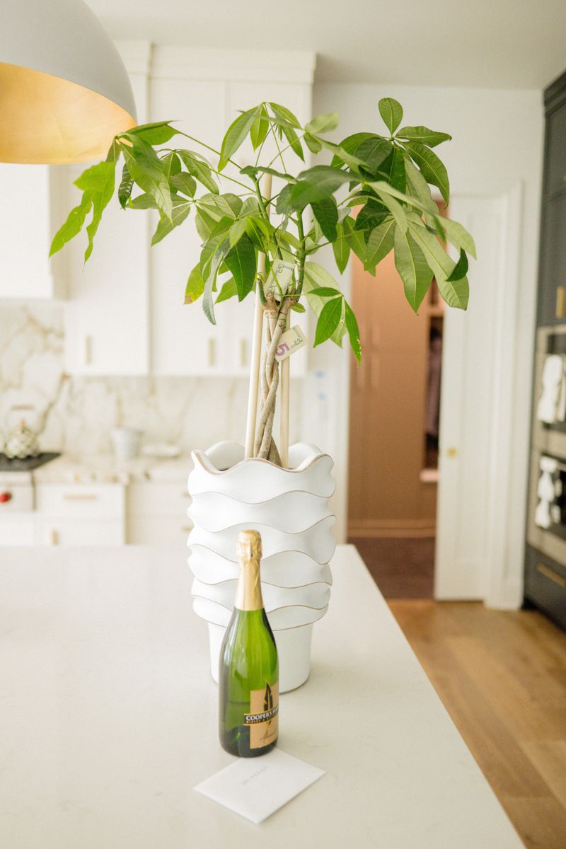 A white kitchen in West Des Moines with a marble backsplash and money tree on the island counter.